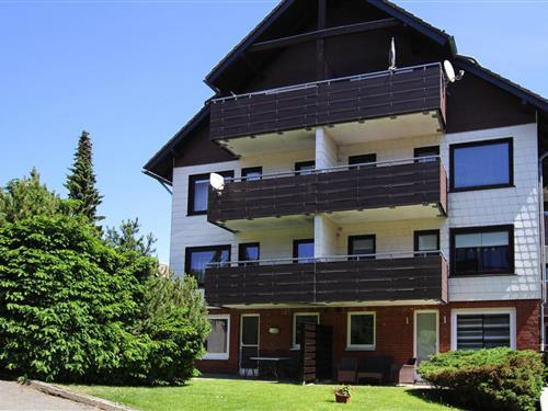 Sommerhus - 6 personer -  - 38700 - Braunlage