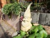 Bild 36