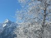 Bild 64