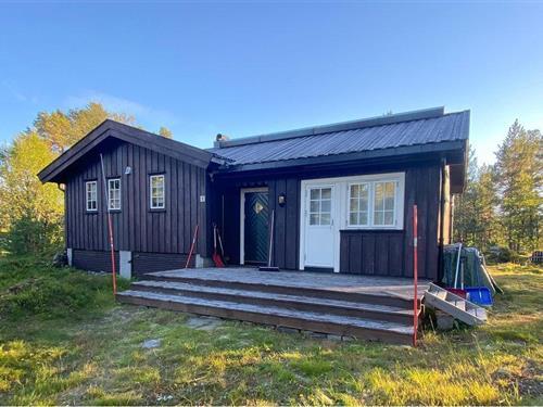 Fritidshus - 5 personer -  - Vetrevegen - 3864 - Rauland