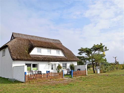 Ferienhaus - 2 Personen -  - Plogshagen 21 a - 18565 - Hiddensee