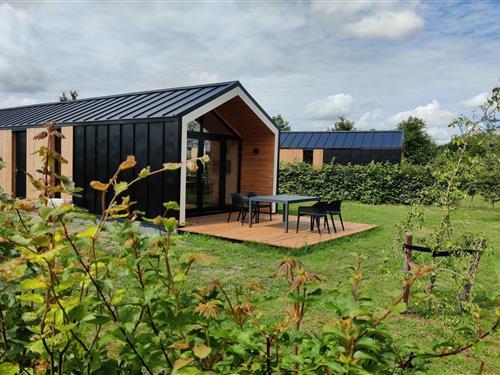 Sommerhus - 16 personer -  - 8314RA - Bant