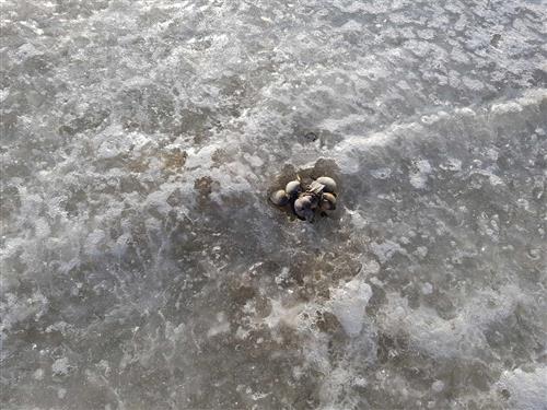 Sommerhus - 5 personer -  - Störtebeker Str. 27 c - 26316 - Varel / Dangast