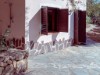 Image 3 - Outside