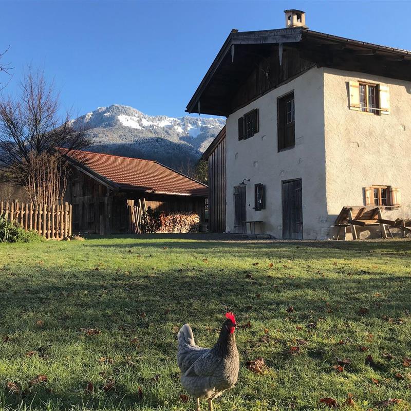 Sommerhus - 2 personer -  - Schmidfeldweg - 83246 - Unterwössen