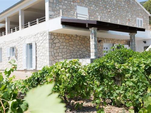 Holiday Home/Apartment - 5 persons -  - 21465 - Jelsa \/ Zavala