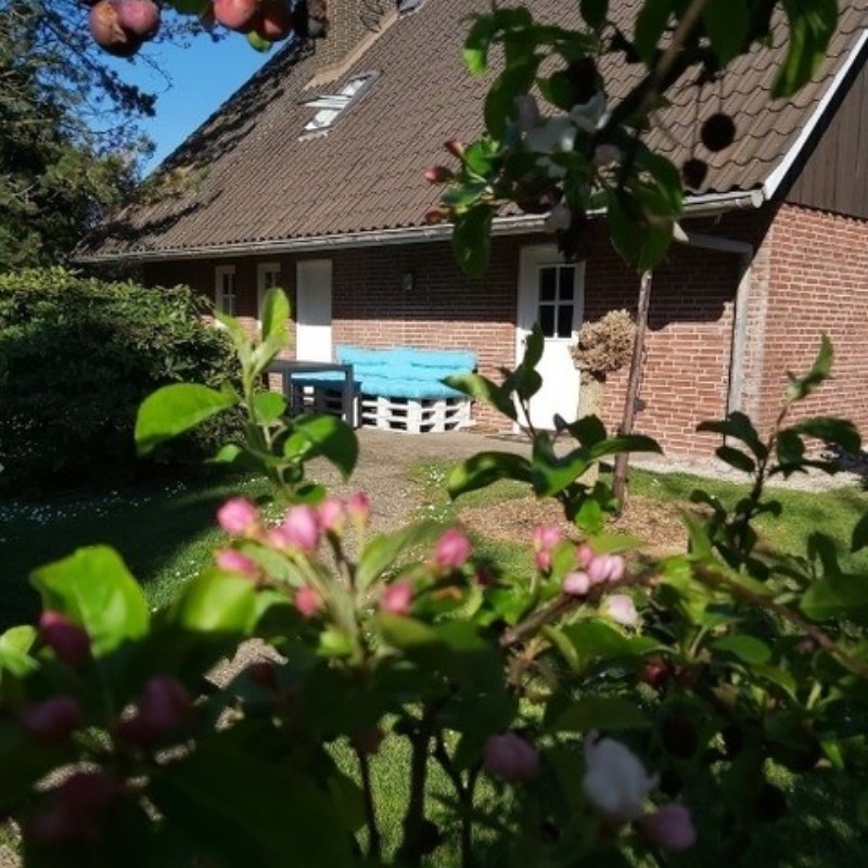 Ferielejlighed - 2 personer -  - Hinterbrack - 21635 - Jork
