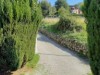 Billede 12