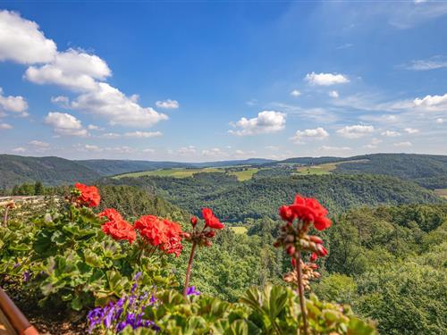 Ferielejlighed - 2 personer -  - Taunusblick - 56112 - Lahnstein
