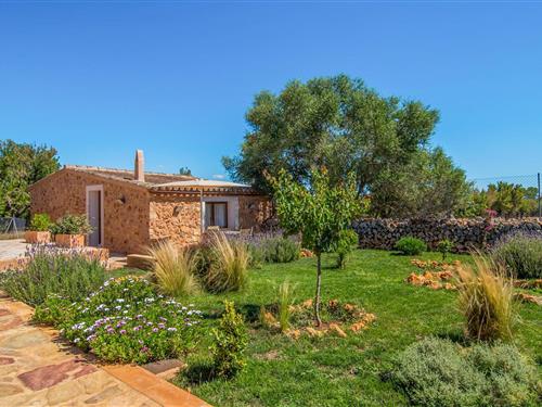 Holiday home - 2 persons -  - Camí de Son Gelabert - Can Porreti El Galliner, Lloret De Vistalegre - 07518 - Lloret De Vistalegre