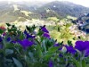 Billede 4