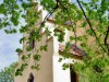 Bild 22