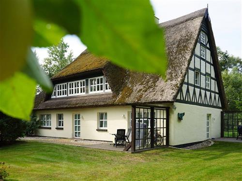 Ferielejlighed - 2 personer -  - Schwarbe Siedlung - 18556 - Altenkirchen