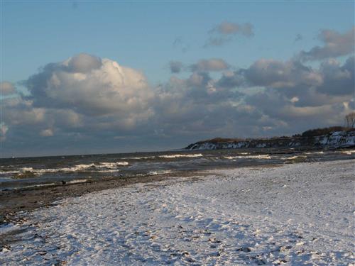 Ferieleilighet - 3 personer -  - Hans- Kinder- Weg - 18347 - Ahrenshoop