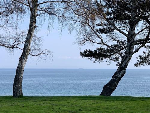 Ferienhaus - 16 Personen -  - Jacobslystvej - 3250 - Gilleleje