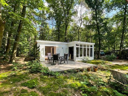 Feriehus - 6 personer -  - Vianenweg - 7451 tl - Holten