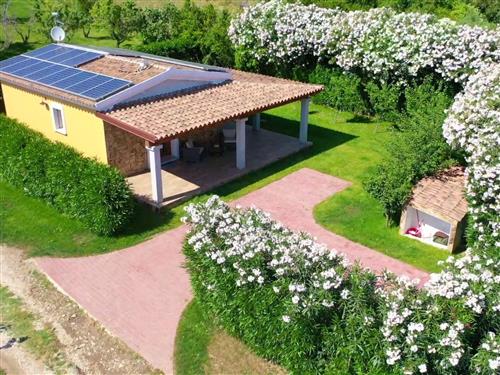 Ferieleilighet - 4 personer -  - Siniscola - 08029