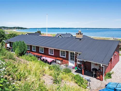 Sommerhus - 20 personer -  - Bøgeskov Strand - Bøgeskov Strand - 7000 - Fredericia