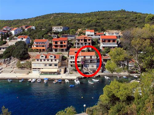 Ferienwohnung - 4 Personen -  - Zavalatica 373, Zavalatica - 20273 - Cara