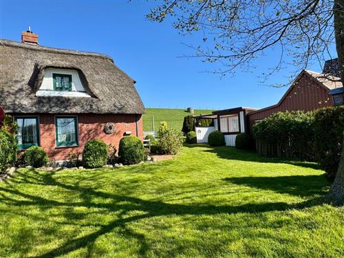 Sommerhus - 4 personer -  - Norderhafen - 25845 - Nordstrand