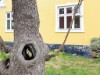 Bild 4 - Aussicht