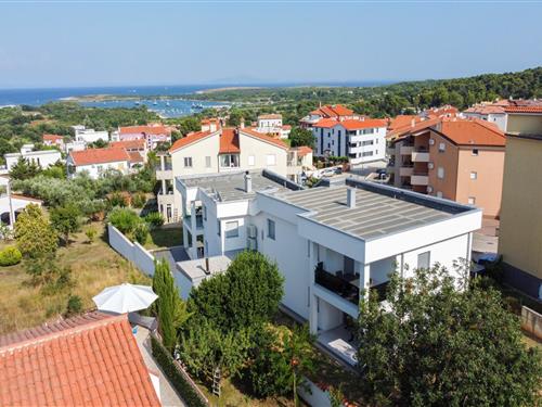 Holiday apartment - 6 persons -  - Smiljevac - 52204 - Liznjan