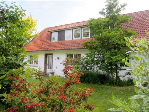 Ferielejlighed - 4 personer -  - Grauener Straße - 29643 - Neuenkirchen