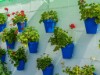 Image 39 - Outside