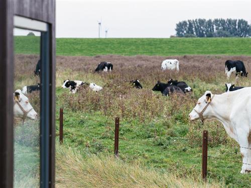 Feriehus - 4 personer -  - Schwerinsgroden - 26409 - Wittmund