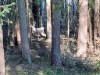 Bild 24