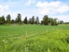 Billede 12 - Ude