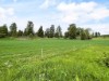 Image 31 - Outside
