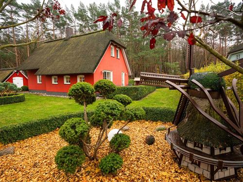 Sommerhus - 5 personer -  - Wiesenstraße - 17459 - Loddin / Stubbenfelde