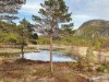 Bild 16
