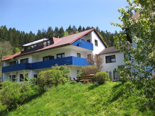 Semesterlägenhet - 4 personer -  - Untere Alte Poststr. - 95485 - Warmensteinach