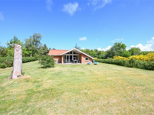 Ferienhaus - 6 Personen -  - Ranunkelvej - Nr. Hede Vest - 6990 - Ulfborg