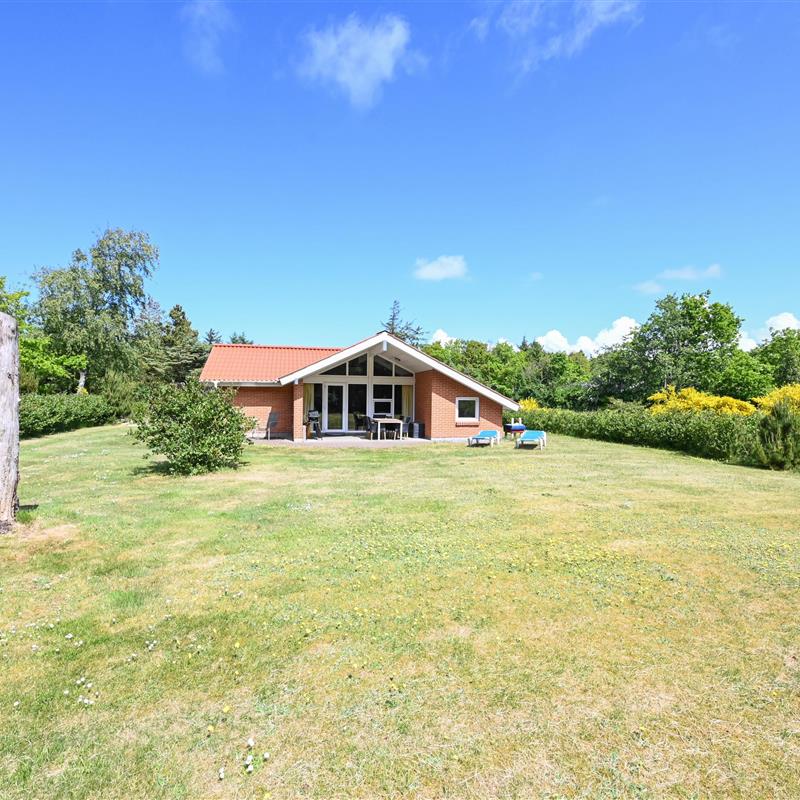 Ferienhaus - 6 Personen -  - Ranunkelvej - Nr. Hede Vest - 6990 - Ulfborg