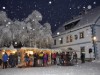Bild 52