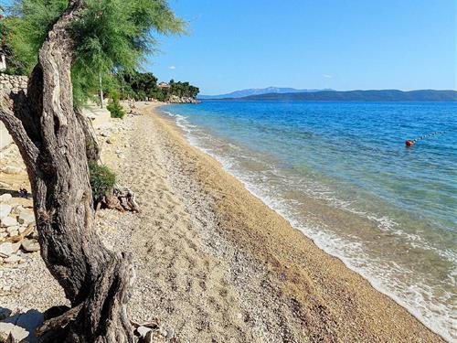 Sommerhus - 8 personer -  - Porat - 21329 - Živogošce