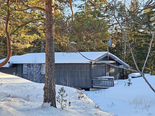 Semesterhus/Semesterlägenhet - 5 personer -  - Vatnarvegen - 3804 - Bø I Telemark