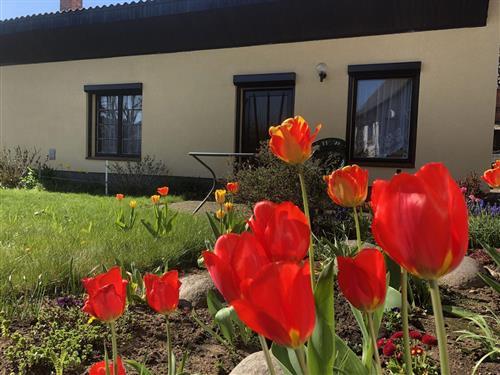 Ferielejlighed - 4 personer -  - Am Neddelrad - 19079 - Banzkow