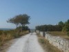 Billede 16