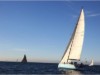 Billede 19