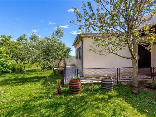 Holiday home - 4 persons -  - Put za Kanalic - 0 - Štinjan