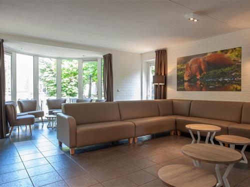 Sommerhus - 18 personer -  - 4904SG - Oosterhout