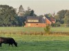 Billede 1
