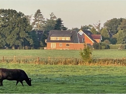 Sommerhus - 4 personer -  - 26316 - Varel-Dangast