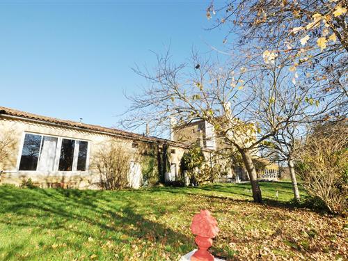 Sommerhus - 12 personer -  - Chateau de Fajac La Selve - - 11420 - Pech-Luna