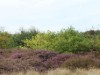 Image 27