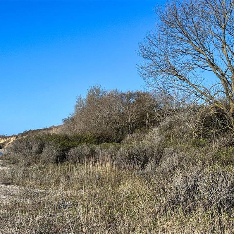 Sommerhus - 4 personer -  - Brunbjerg - Halk Strand - 6100 - Haderslev